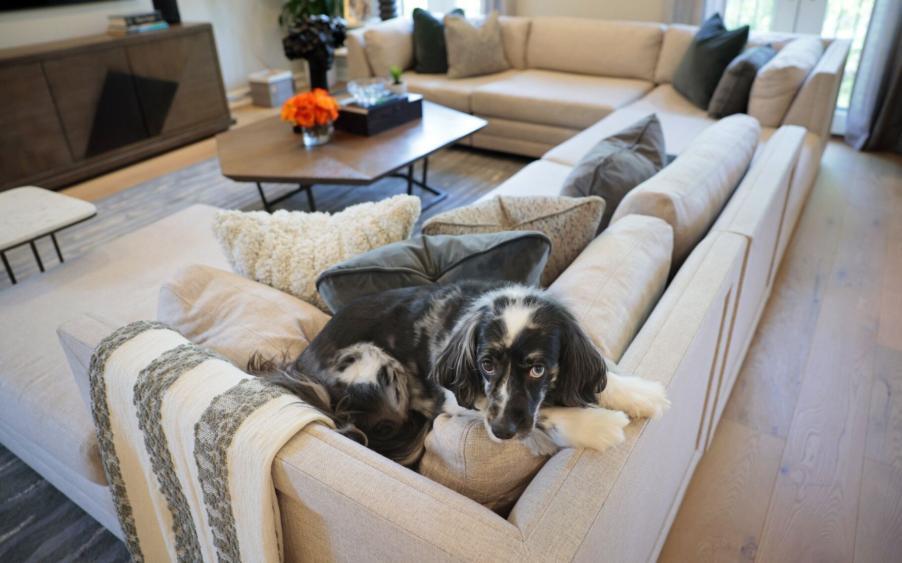 At home with Roel Vestjens and Cheryl Vallely in their Clayton condo